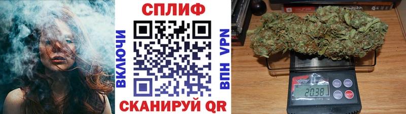Наркошоп Кировск omg зеркало  Cocaine  Alpha PVP  Мефедрон  Псилоцибиновые грибы  ГАШИШ  МАРИХУАНА  МЕТАДОН 