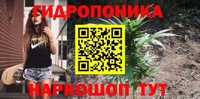 скорость Аргун