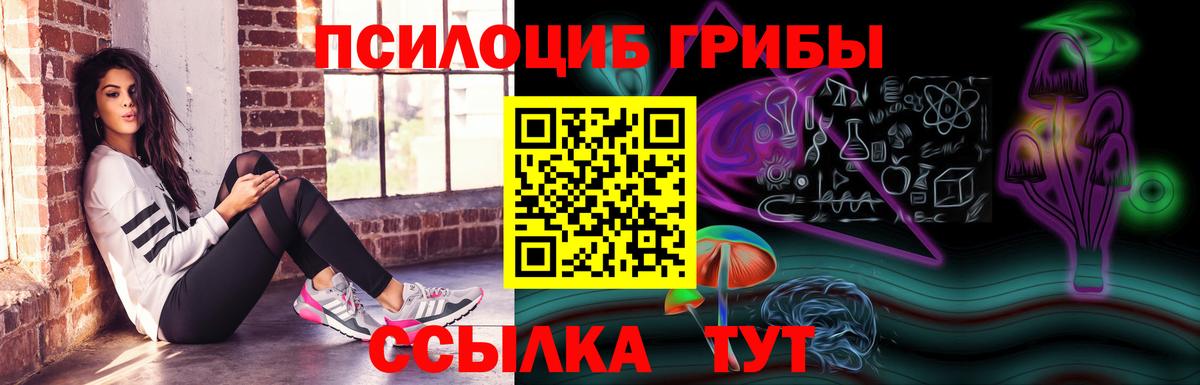 Псилоцибиновые грибы Psilocybine cubensis Кировск