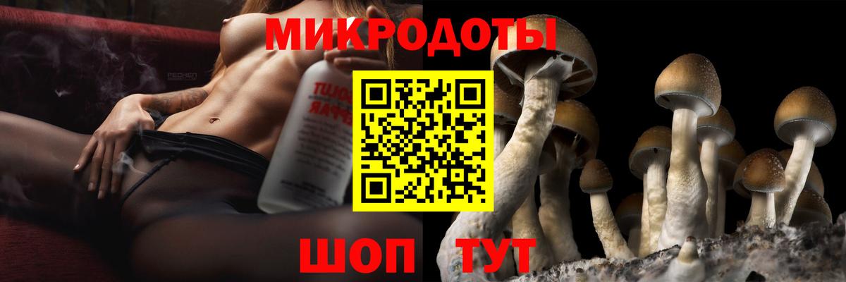 цена наркотик  Вход с VPN  Псилоцибиновые грибы MAGIC MUSHROOMS  Кировск  Галлюциногенные грибы мицелий 