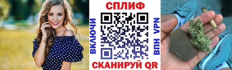 где купить   Кировск  Шишки марихуана конопля 